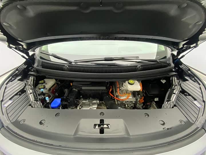 Фото 13 - Denza D9