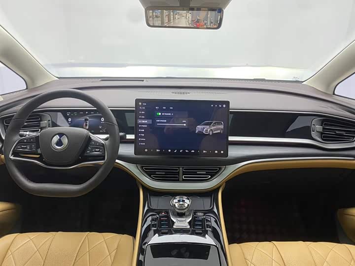 Фото 14 - Denza D9