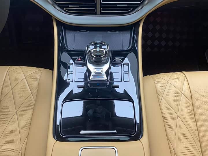 Фото 21 - Denza D9