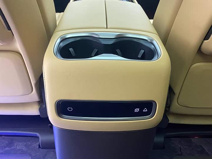 Фото 24 - Denza D9