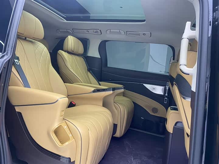 Фото 27 - Denza D9