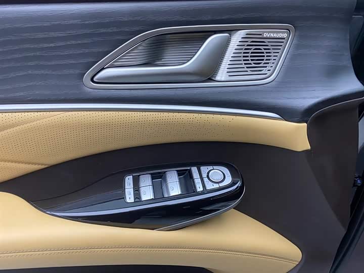 Фото 28 - Denza D9