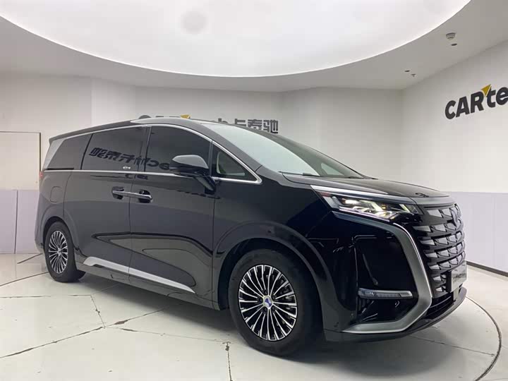 Фото 3 - Denza D9