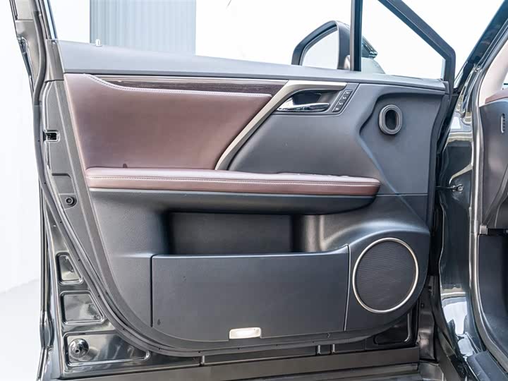 Фото 16 - Lexus RX