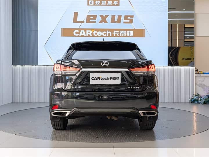 Фото 8 - Lexus RX