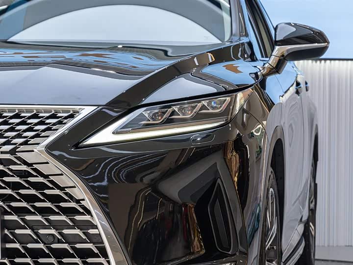 Фото 9 - Lexus RX