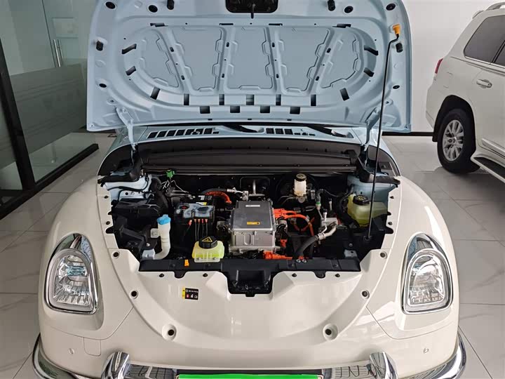 Фото 10 - Ora Ballet Cat