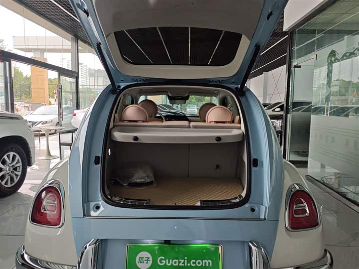 Фото 9 - Ora Ballet Cat