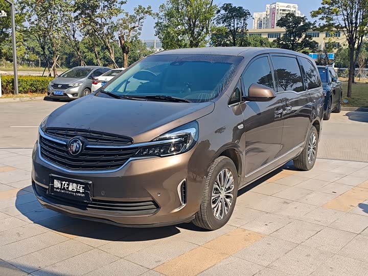 Фото 1 - Buick GL8 ES