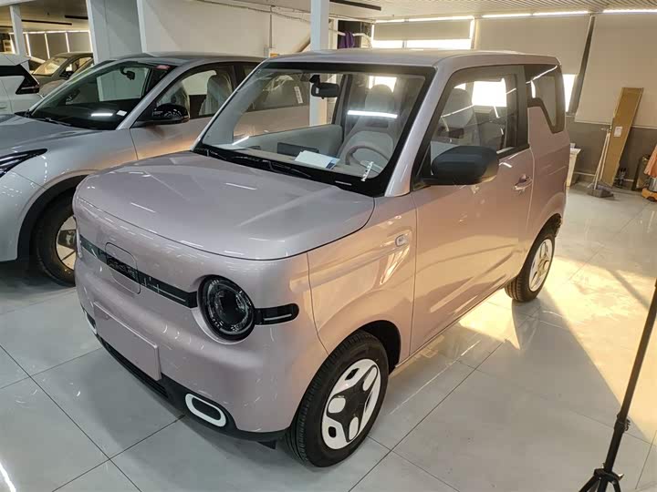 Фото 1 - Geely Galaxy Panda Mini