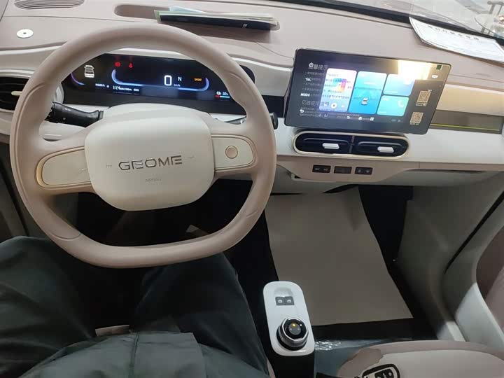 Фото 10 - Geely Galaxy Panda Mini