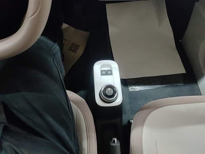 Фото 14 - Geely Galaxy Panda Mini