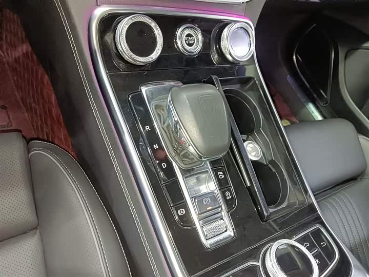 Фото 13 - Hongqi H9