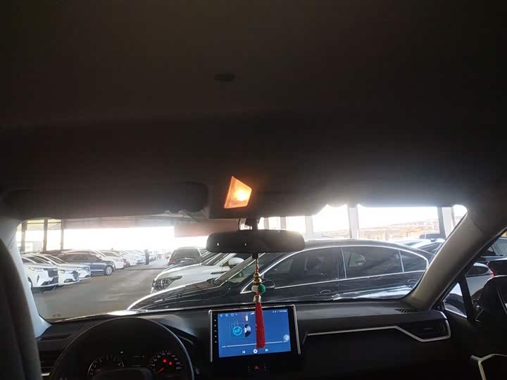 Фото 8 - Toyota Wildlander