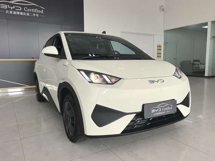 Фото 3 - BYD Seagull