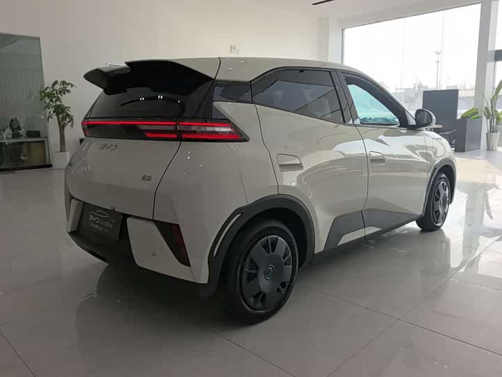 Фото 4 - BYD Seagull