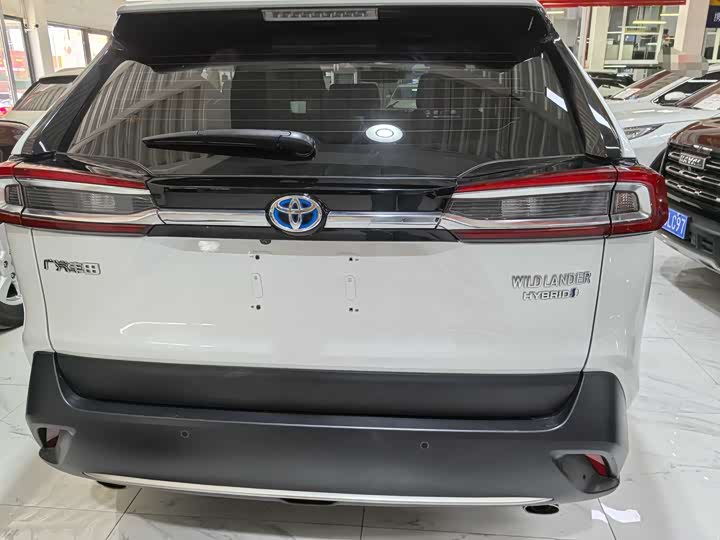 Фото 5 - Toyota Wildlander