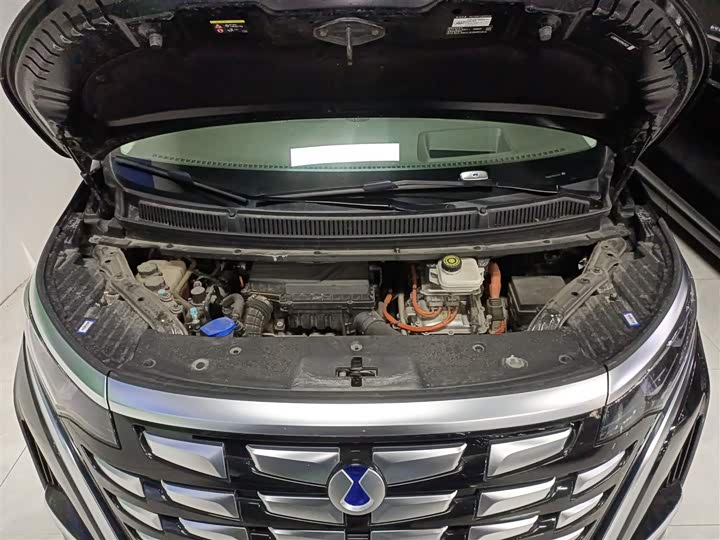 Фото 10 - Denza D9