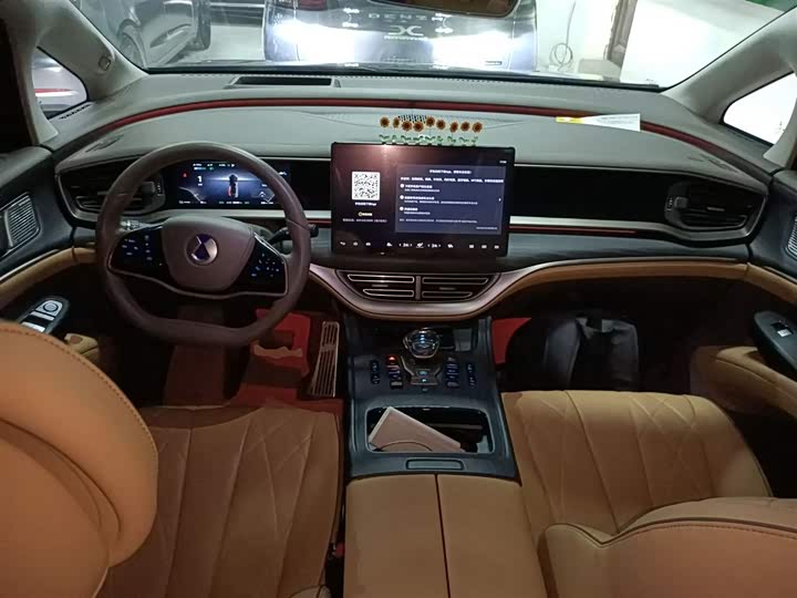 Фото 12 - Denza D9