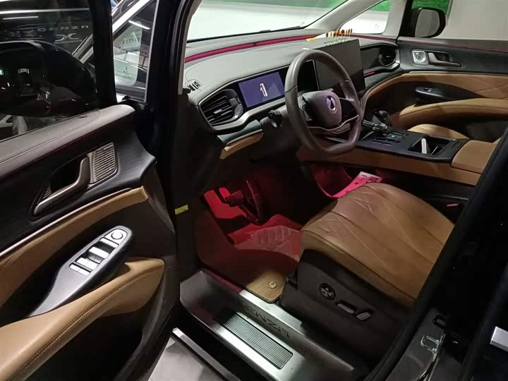 Фото 13 - Denza D9