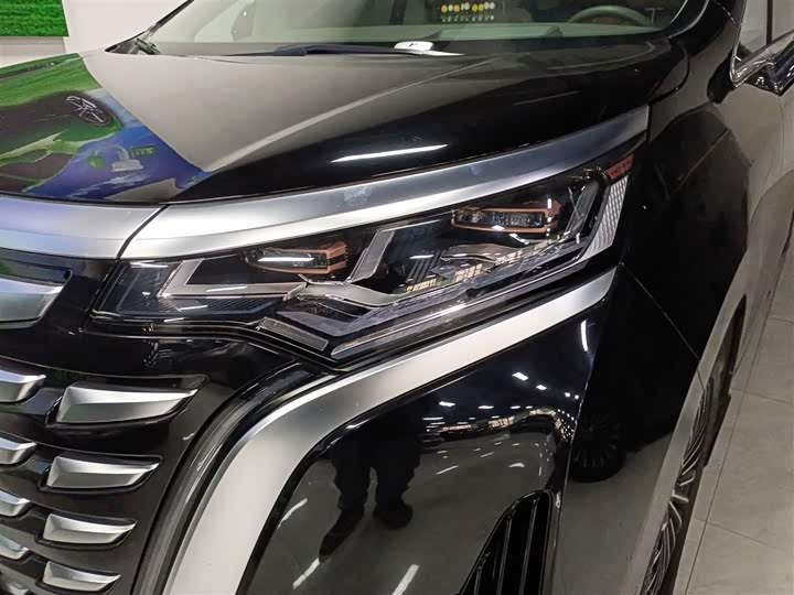 Фото 15 - Denza D9