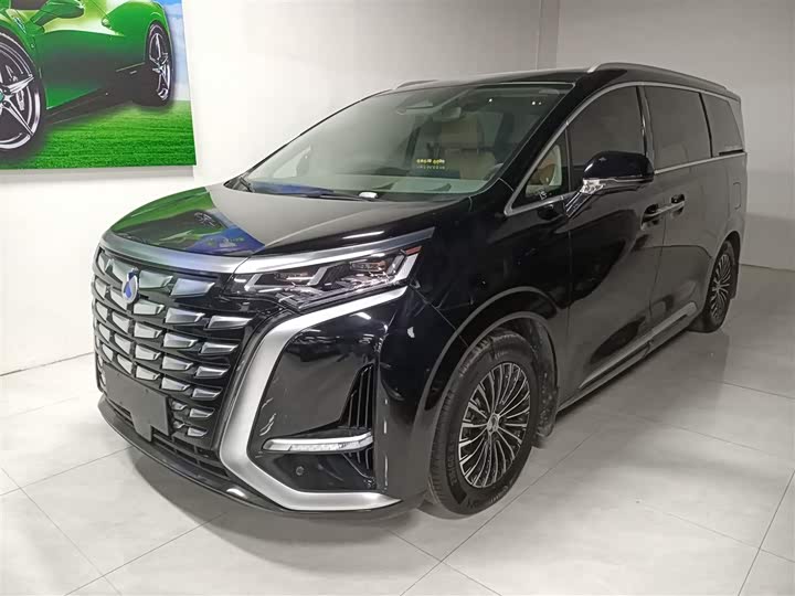 Фото 2 - Denza D9