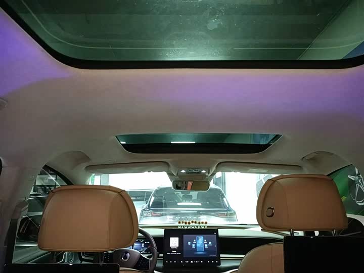 Фото 8 - Denza D9