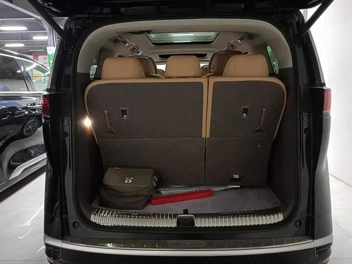 Фото 9 - Denza D9