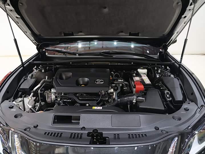 Фото 19 - Lexus ES