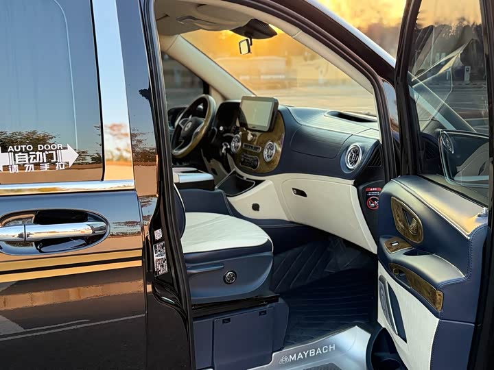 Фото 10 - Mercedes-Benz Vito