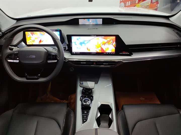 Фото 12 - Changan Oshan Z6