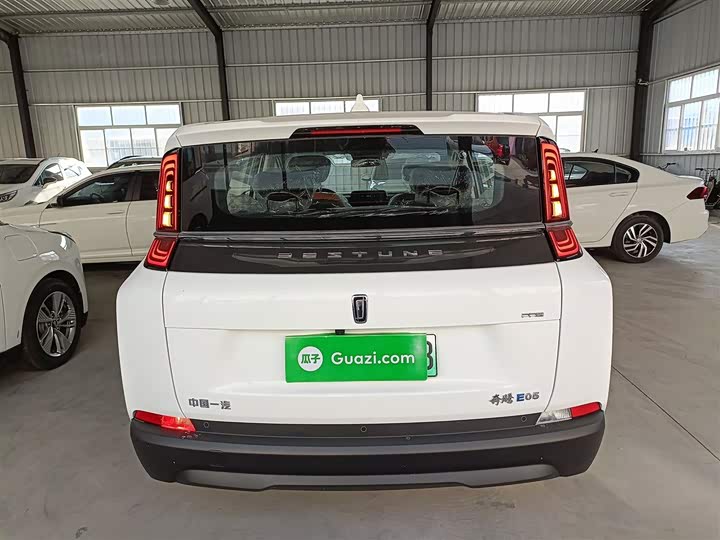 Фото 6 - Bestune NAT