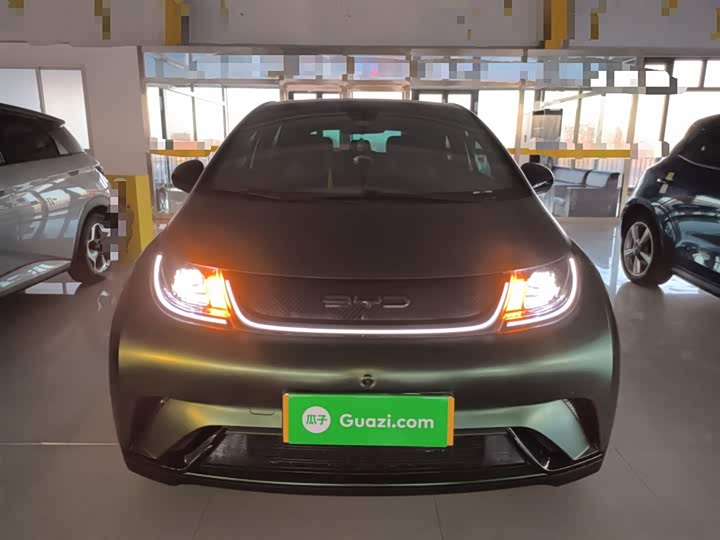 Фото 3 - BYD Dolphin