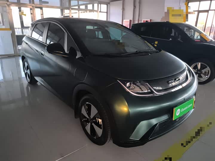 Фото 4 - BYD Dolphin