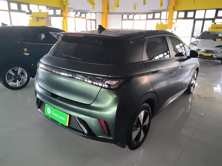 Фото 7 - BYD Dolphin