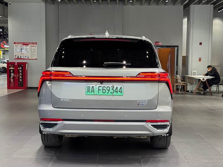 Фото 5 - Wey Lanshan