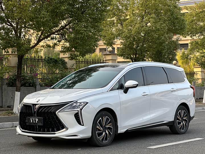 Фото 1 - Dongfeng Forthing Yacht