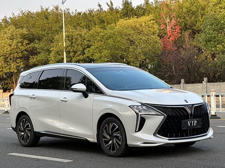 Фото 2 - Dongfeng Forthing Yacht