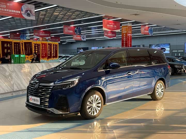 Фото 1 - Buick GL8 ES