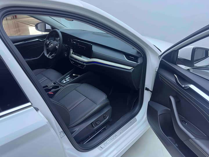 Фото 11 - Skoda Octavia Pro