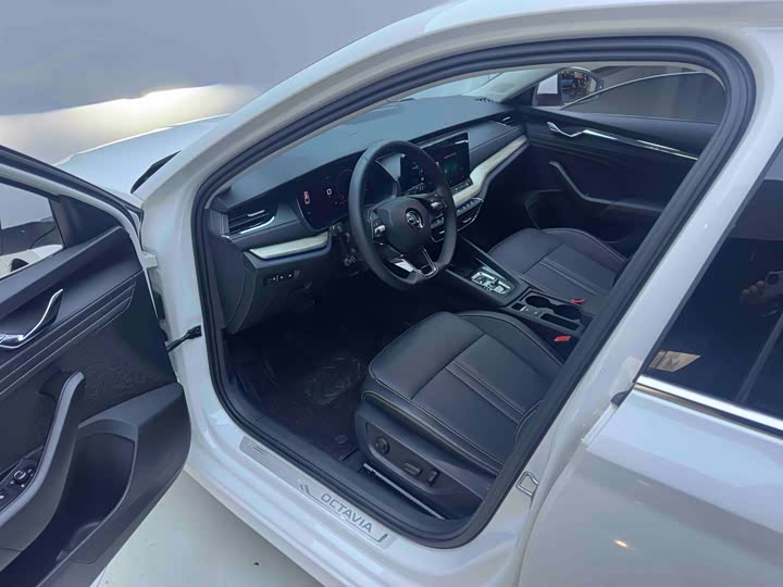 Фото 9 - Skoda Octavia Pro