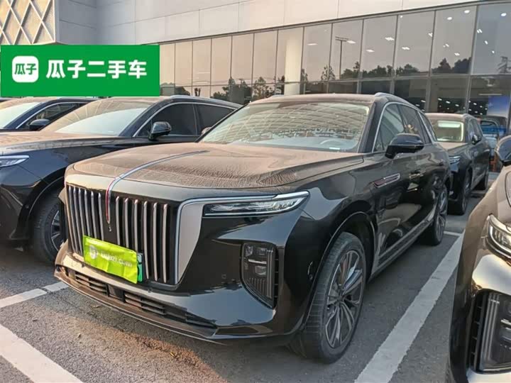 Фото 1 - Hongqi E-HS9