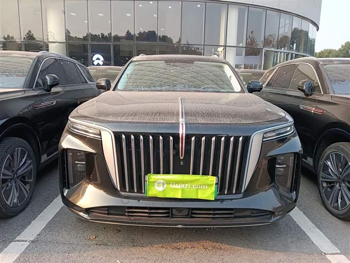 Фото 3 - Hongqi E-HS9