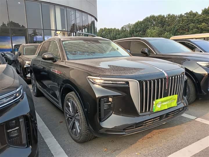 Фото 4 - Hongqi E-HS9