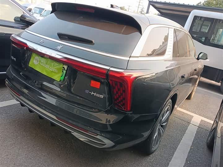 Фото 7 - Hongqi E-HS9