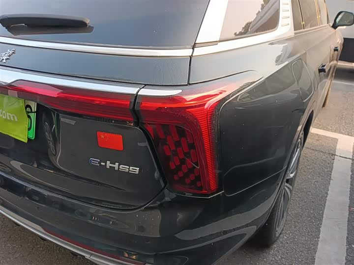 Фото 8 - Hongqi E-HS9