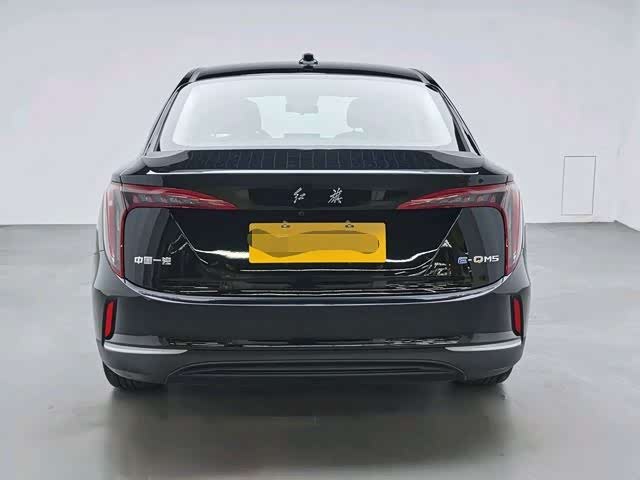 Фото 5 - Hongqi E-QM5