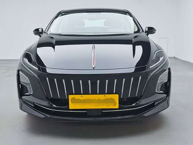 Фото 6 - Hongqi E-QM5