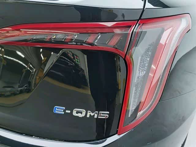 Фото 7 - Hongqi E-QM5