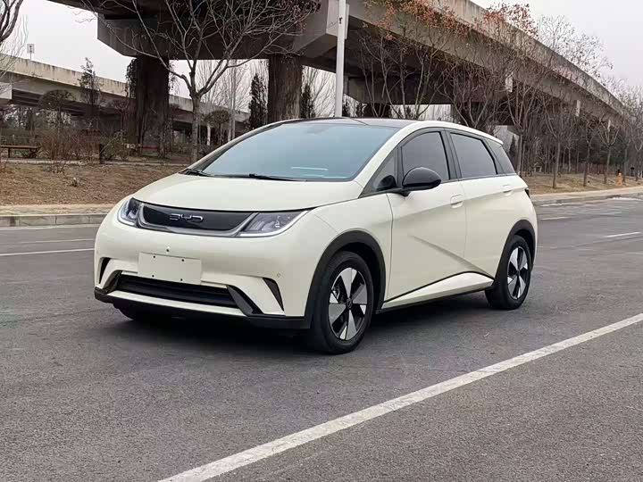 Фото 1 - BYD Dolphin